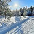 Maxim hiihtokoulu hiihtoladut